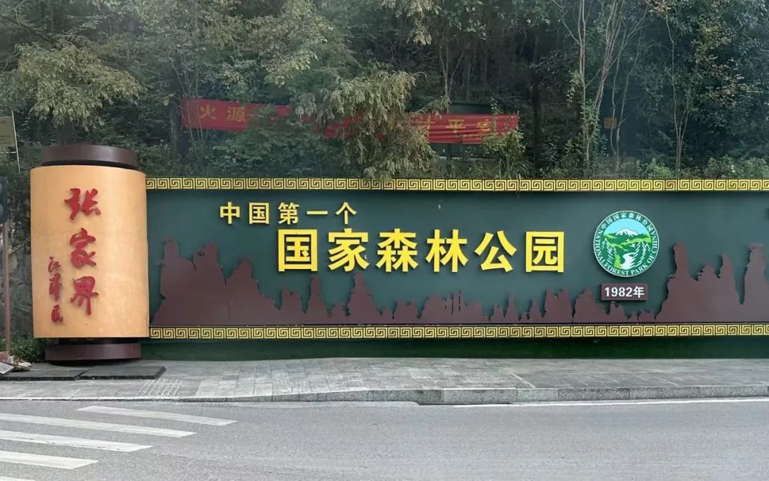 1730974563104915.jpg 1730974563104915.jpg