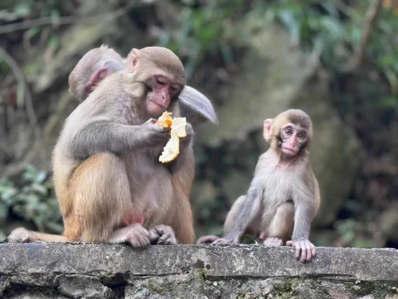 1730974563627661.jpg 1730974563627661.jpg